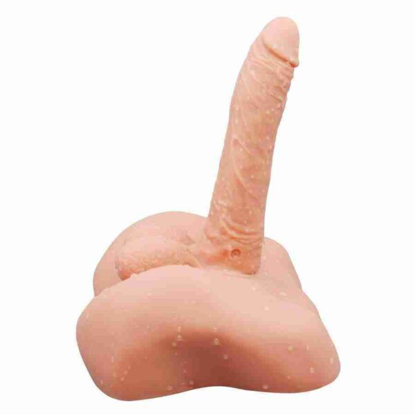 Torso inhalambrico - Imagen 3